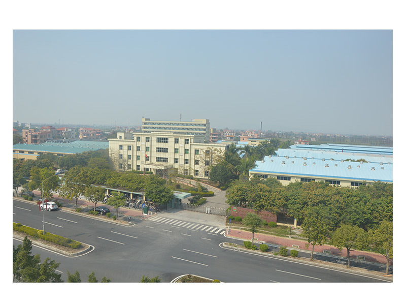 Outside scene and road in front of the company